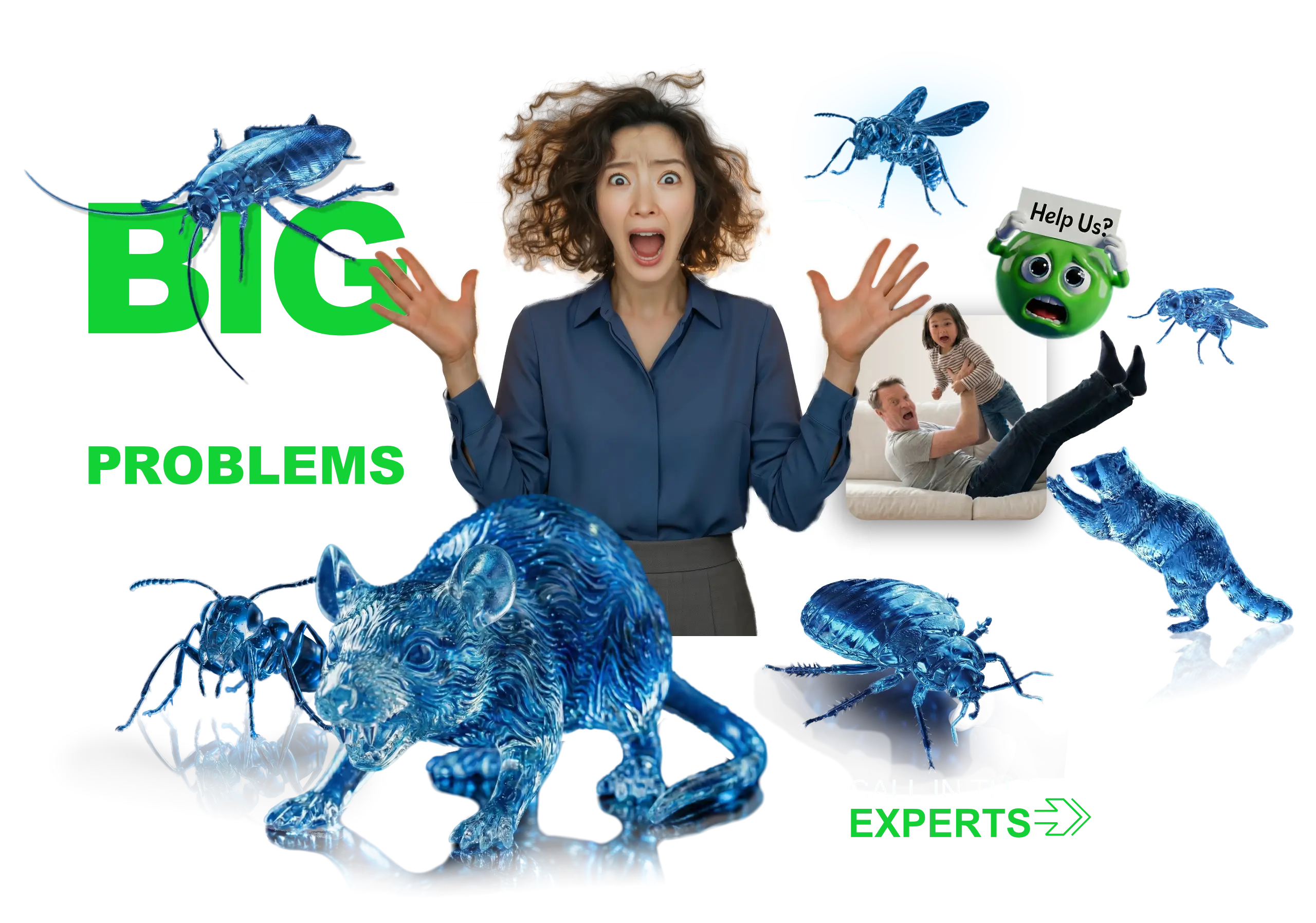 RainCity Pest Control hero slide